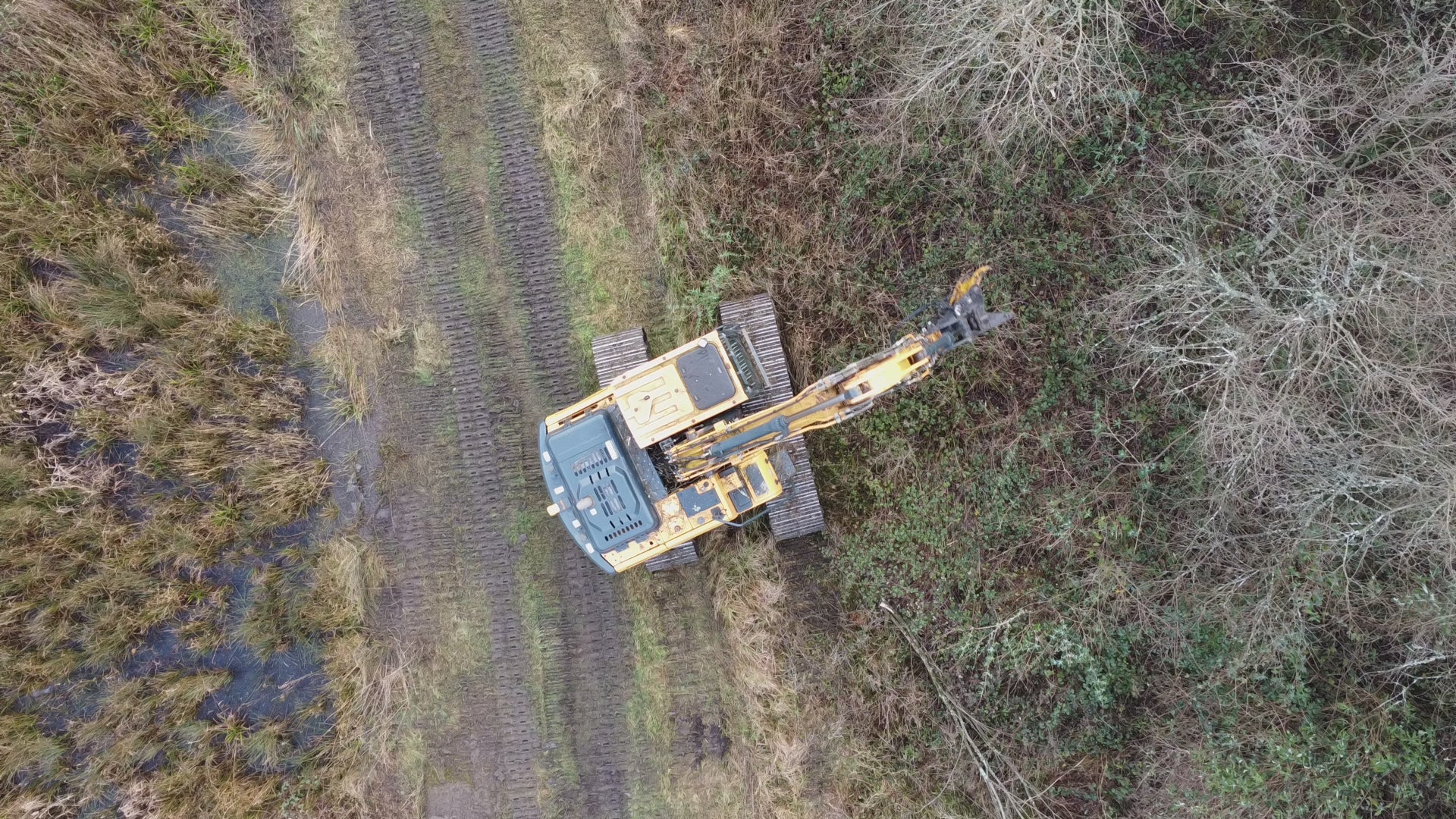 Load video: Excavator and Tree Shear